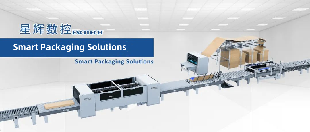 EXCITECH द्वारा विकसित एक बहुकार्यात्मक कार्टन प्याकेजिङ मेसिन।